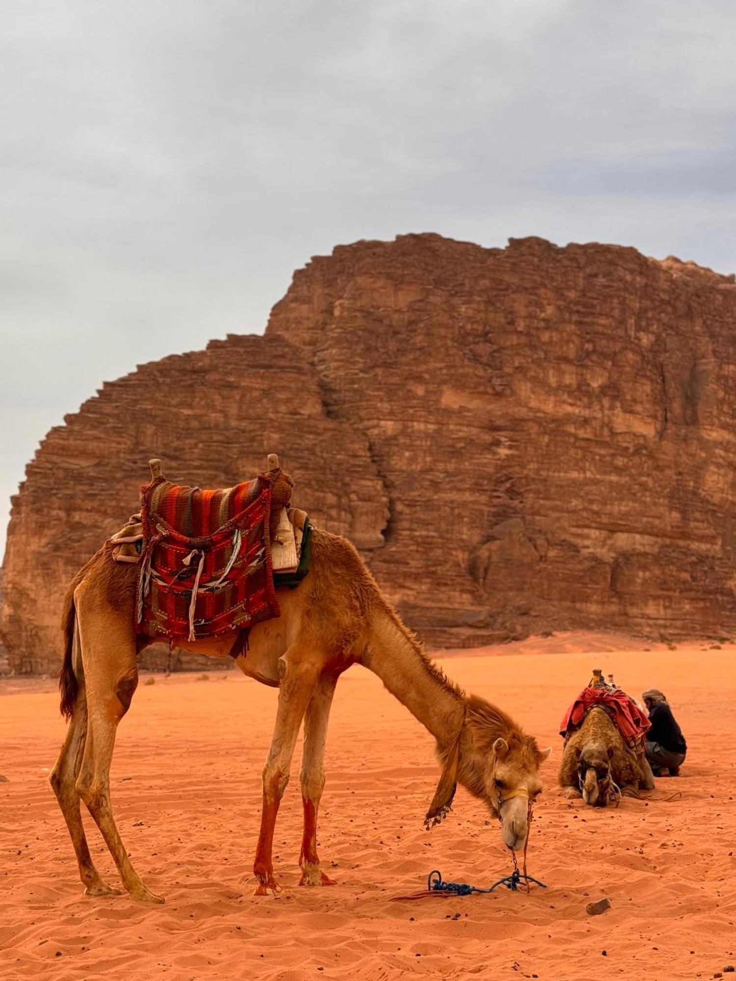 Rum Maria Luxury Camp & Bubble Rooms Wadi Rum Exterior foto